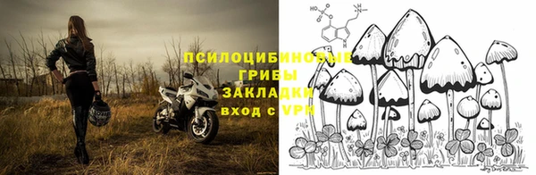 МДПВ Нижний Тагил