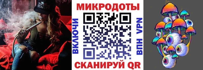 Галлюциногенные грибы Psilocybe  Брюховецкая 